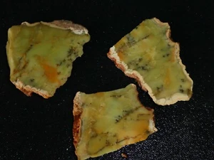 Ópalo Dendtrítico 3 piezas pequeñas-áspero-cabina-pantalla-geología-colección - Imagen 1 de 3