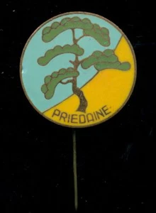 SPILLA SMALTATA COLORATA VINTAGE LETTONIA PRIEDAINE - Foto 1 di 2