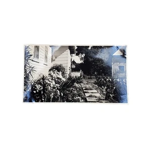 Vtg Photo of Garden Walkway Original Monochrome Photography Found Landscape - Picture 1 of 4