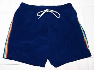 Chubbies The Rainbow Sherbets The Easy Trunk Mens Striped Swim Trunks Size Large - Picture 1 of 7