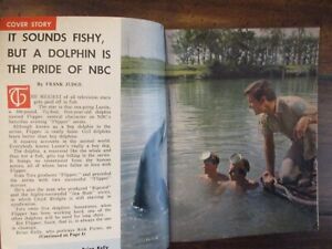 Februar-1965 NY Journal American TV Mag (FLIPPER/BRIAN KELLY/JAMES ARNESS/JEANS ARTHUR