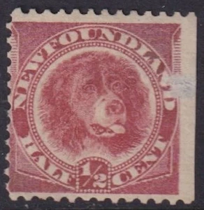 CANADA (NEWFOUNDLAND) Sc#57 USED NEWFOUNDLAND DOG 1/2¢ ORANGE RED - Picture 1 of 1