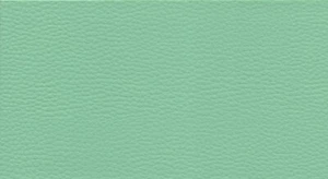 Kunstleder Lederimitat Polsterstoff Meterware Bezugsstoff geprüft mint grün - Bild 1 von 1