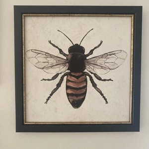 Cornice ape stampe artistiche bombi ape cottage nucleo arte da parete tela 12”X12” - Foto 1 di 5