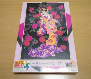 Haruyo ~Beauty of Color~ Sumiiro Hanasoku Kasumi Kasumi Jigsaw Puzzle 1000 - Picture 1 of 7