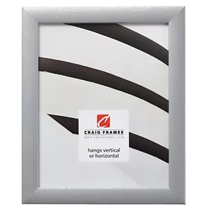 Craig Frames Contemporary 1", Brushed Silver Picture Frame Poster Frames - Picture 1 of 9