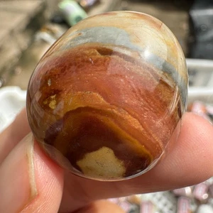 17G Natural Polished Crystal Ocean Palm Stone Polychrome Jasper Healing - Picture 1 of 6