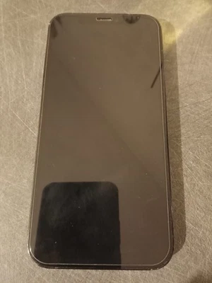 Apple iPhone 12 Pro - 256GB - Blu Pacifico (Sbloccato) - Immagine 1 di 2