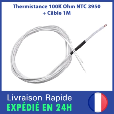 Thermistance 100K ohm NTC 3950 RepRap Hotend Thermistor capteur Imprimante 3D