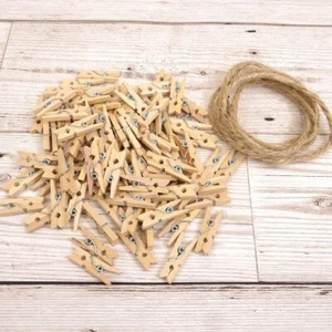 Hunkydory Mini Craft Pegs - Picture 1 of 1