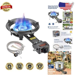 Portable 13" Propane Stove - Heavy-Duty Cast Iron Burner for Outdoor Cooking - Picture 1 of 8