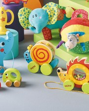 personalised wooden pull along toy