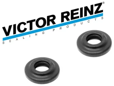 2 conjuntos de vedação de porca de tampa de válvula 70-33388-00 para BMW - VICTOR REINZ - Imagem 1 de 4