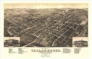 GENERAL HISTORICAL 6017, Tallahassee, Florida, 1885 11 x 17 - Picture 1 of 5