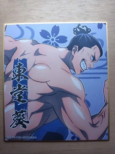Jujutsu Kaisen Aoi Todo Shikishi HECHO EN JAPÓN De Japón ENSKY - Imagen 1 de 2