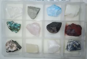 12 Large Rock Collection Set in Clear Plastic Box RSS12B Education Specimen - Picture 1 of 7