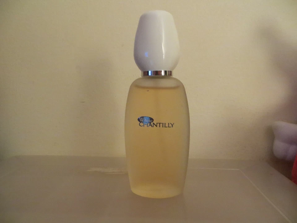 复古 DANA 香水白色香槟 1 盎司。 SPRAY EAU DE TOILETTE 全新 — 第 1/1 张图片