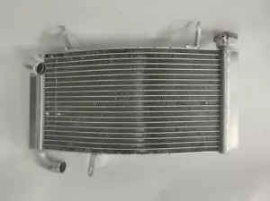 NEW Aluminum Radiator For 2001-2002 Ducati Monster S4/2003-08 Ducati Monster S4R - Bild 1 von 4