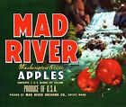 10 étiquettes de caisse de fruits vintage de marque Mad River Entiat, Washington