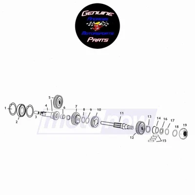 Andrews Mainshaft 1st Gear for 1978-1985 Harley Davidson XLS Roadster - ws Foto 1 de 4