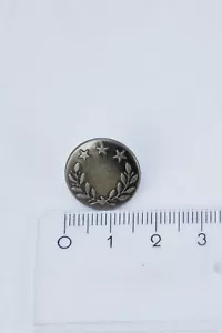 100 Nähfrei Jeansknöpfe Messing altsilber Eichenlaub Sterne 17 mm Ersatzknopf - Bild 1 von 2