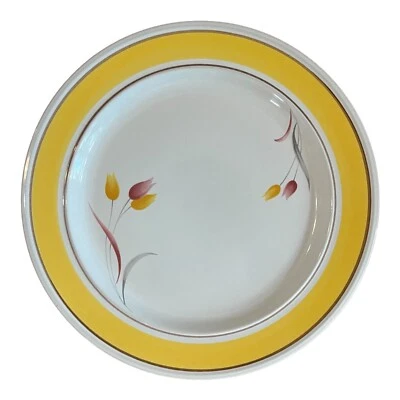 Vajilla vintage amarilla y blanca con flores época Cranbrook 3462 hecha en Japón Foto 1 de 4