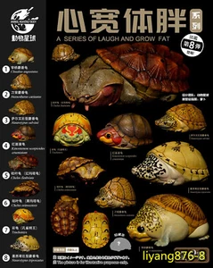 Animal Planet 08 Blind Box Model Matamata Turtle Stink-pot Turtle Collector Toys - Picture 1 of 27