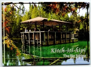 Postcard Kitchi-iti-kipi Spring Palms Book Park Upper Peninsula UP Michigan MI - Picture 1 of 2