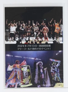 Tarjeta MARIGOLD Summer Destiny 2024 No.187 - Lucha libre profesional para mujer MARIGOLD - Imagen 1 de 3