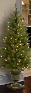 National Tree Company 4 ft. Glittery Gold Pine Entrance Tree with Clear Lights - Picture 1 of 3