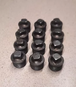 Square Pipe Plug Malleable Iron Black 1/2" Male Qty: 12 - Picture 1 of 2