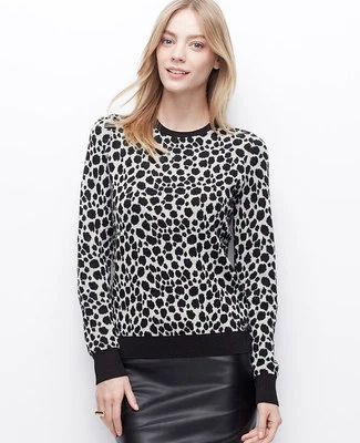 Ann Taylor - Suéter Mujer XS (0-2) Negro Cheetah Jacquard Mezcla Lana $80 (B5) Foto 1 de 4
