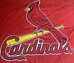 St. Louis Caridnals Outdoor Hanging Flag by Rico Industries (60” X 34”) (L X W) - Picture 1 of 4