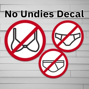 No Underwear Decal (vinyl Sticker, Car laptop window tumbler water bottle) body - Picture 1 of 6