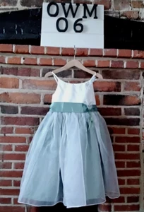 Girls Age 4 years Beautiful Bridesmaid Dress from The wedding Collection - BHS - Picture 1 of 7