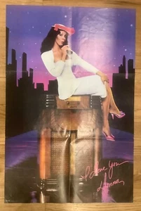 Donna Summer -Greatest Hits-On the Radio Volumes I & II Vinyl Record RARE Poster - Imagen 1 de 9