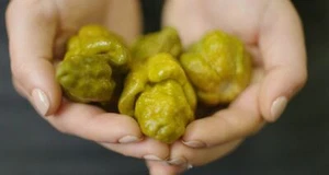 PEPPER X INOFFICIAL WORLD HEISSEST PEPPER - 10 semillas, 3.180.000 SHU + GRATIS - Imagen 1 de 3