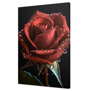 Schöne rote Rosenblume mit Wassertropfen moderner gerahmter Leinwanddruck Wandkunst - Bild 1 von 7