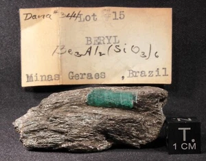 1.7 cm Emerald Crystal in Schist from Mines Gerais, Brazil - old collection - Picture 1 of 11