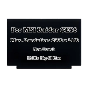 QHD LCD Screen IPS Display Replacement 17.3" 240Hz for MSI Raider GE76 2560x1440 - Picture 1 of 5