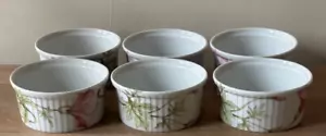 Set of 6 Vintage Pillivuyt Floral Ramekins Pots de Creme - Picture 1 of 11