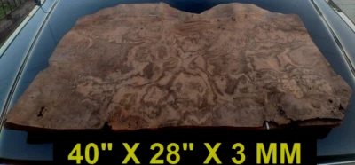 CHAPA DE NOGAL BURL CLARO CORTE GRUESO #V316 8 PIEZAS Foto 1 de 4