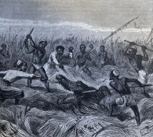 1875 Ismalia Central Africa Samuel W. Baker Expedition illustrated - Picture 1 of 8