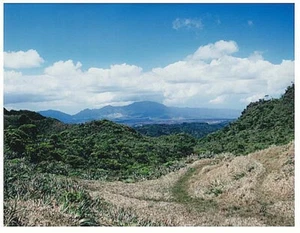 MT KAALA VIEW FROM SACRED FALLS OAHU 8.5 x 11 INCH UNMOUNTED BORDERLESS GICLEE - Picture 1 of 1