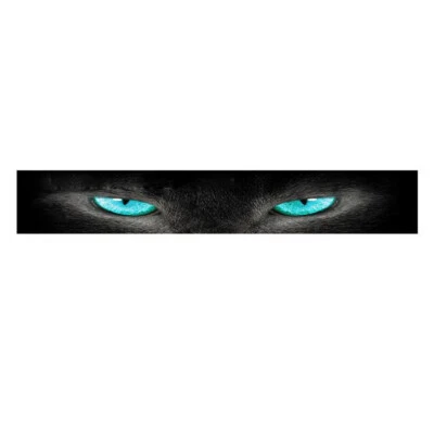 Car Front Rear Windshield Sunshade Decal Window 3D Blue Eye Sticker Waterproof - Image 1 of 4