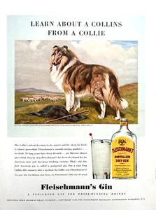 Fleischmann's Gin Werbung 1940, Learn About A Collins From A Collie - Bild 1 von 1