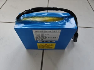 Akku Batterie für Rollstuhl B&B VIA oder E-Roller E-Bike Boot 20Ah 26V Li-Ion - Bild 1 von 3