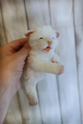 realistic newborn plush  kitten handmade-OOAK - Collectible Art Doll - Image 1 of 4