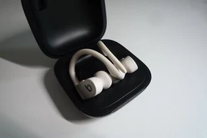 BEATS by Dr. Dre Powerbeats Pro In Ear Wireless - Ivory - Picture 1 of 7