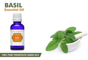 Natural Basil Essential Oil 100% Pure Aromatherapy Oils Therapeutic Grade - Picture 1 of 3